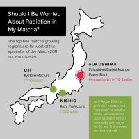 Green Tea and Radiation